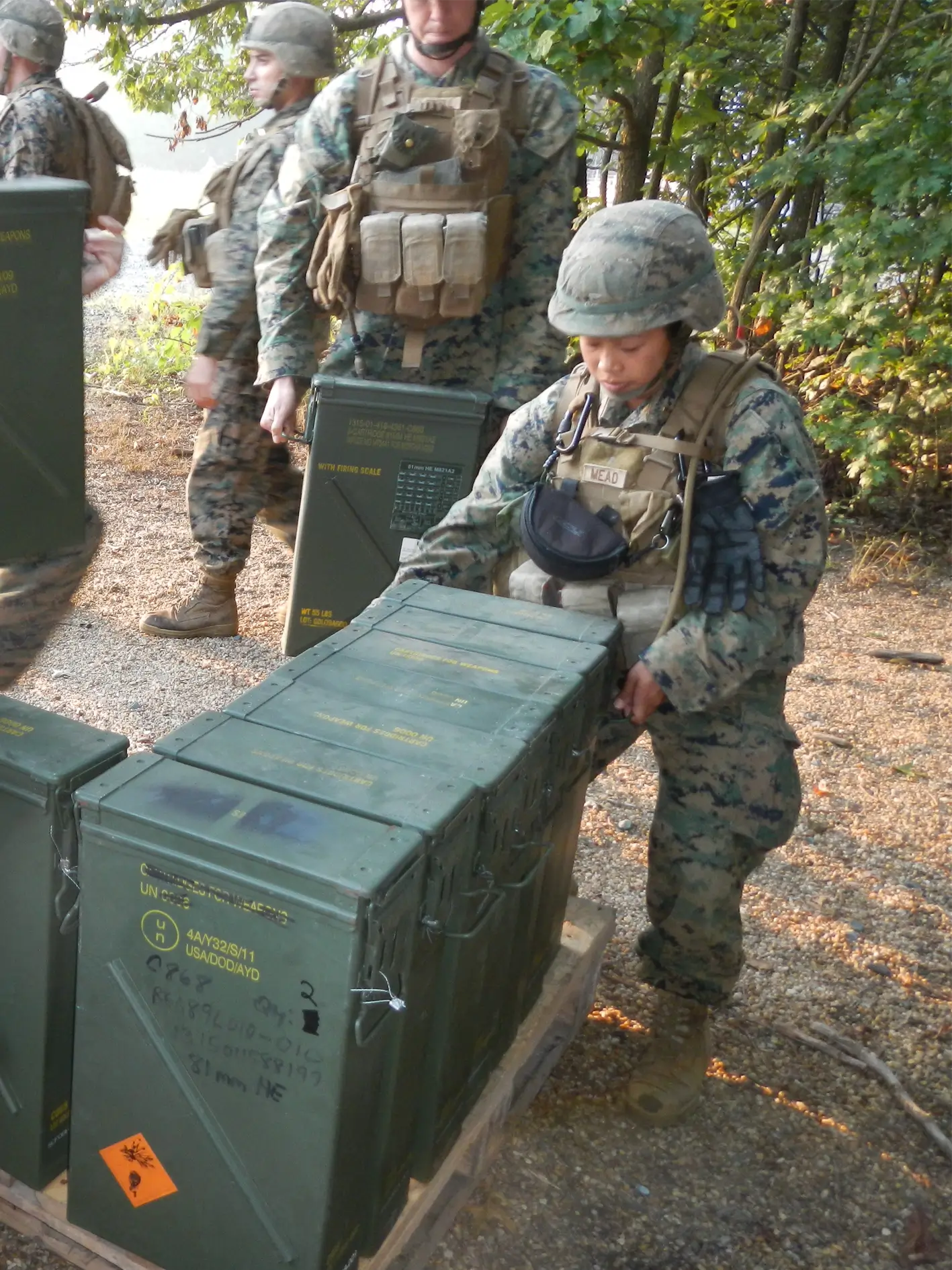 Soldier Carrying an Item